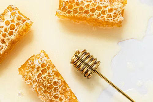 Panorama čebelnjaka